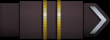 Lieutenant